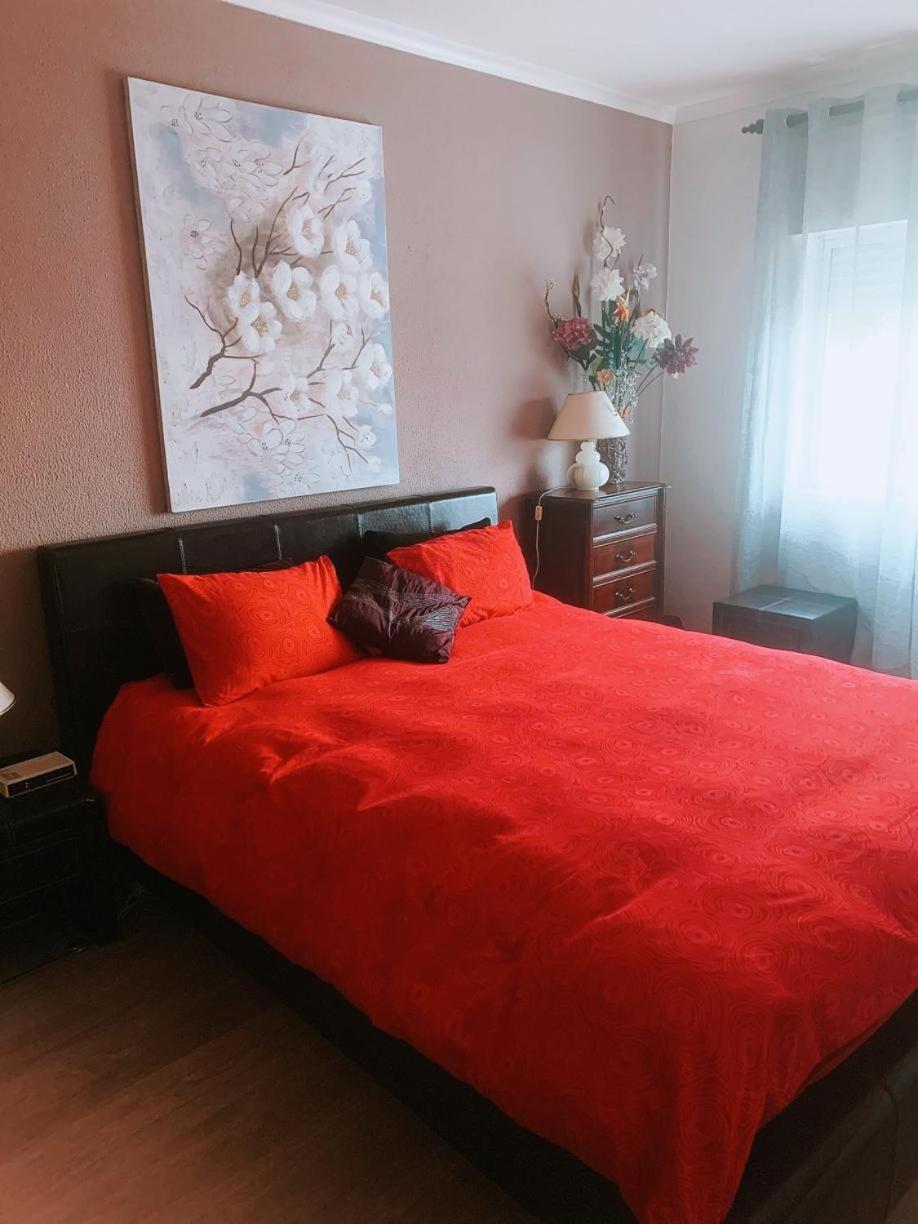 Apartamento Com Boa Localizacao E Conforto 波瓦圣塔伊里亚 外观 照片